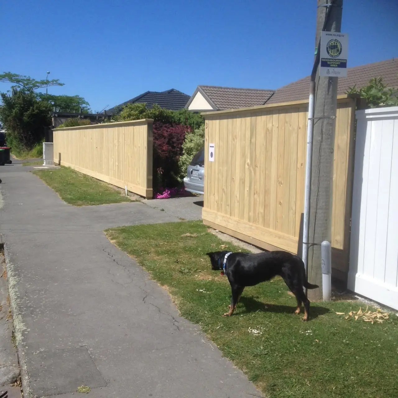 Timber privacy fence with driveway gates, Fendalton, Christchurch